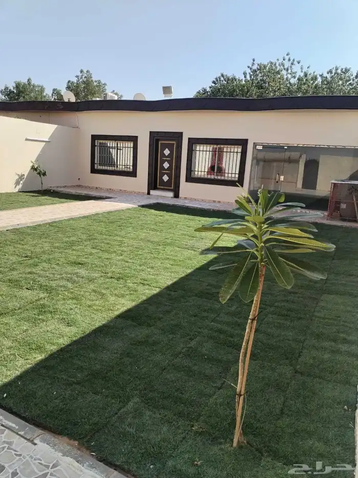 شاليه شباب للايجار شهري بعقد سنوي الكتروني 0