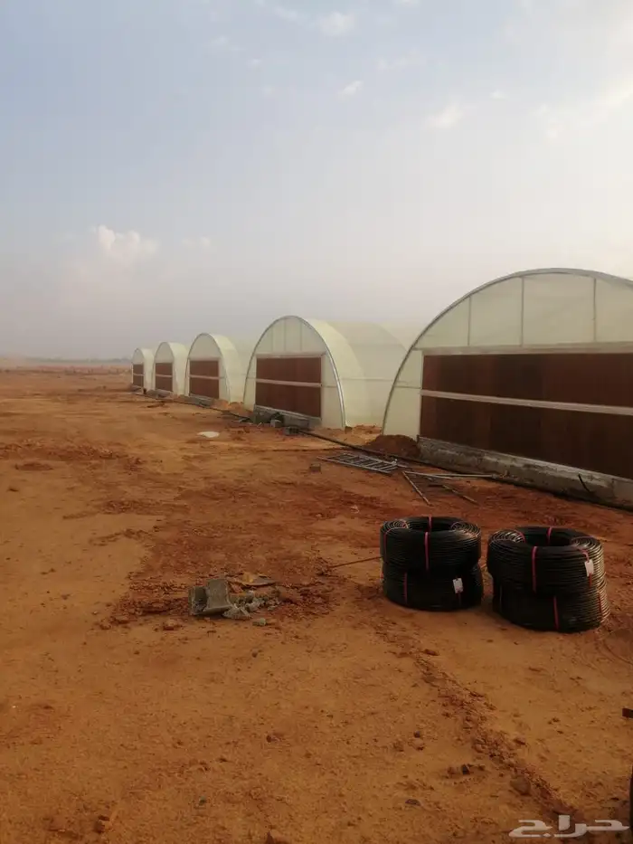 شركة قطاف للبيوت المحمية بالسعودية بأسعار مناسبة 2