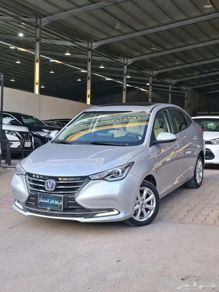 شانجان السفن 2025 1