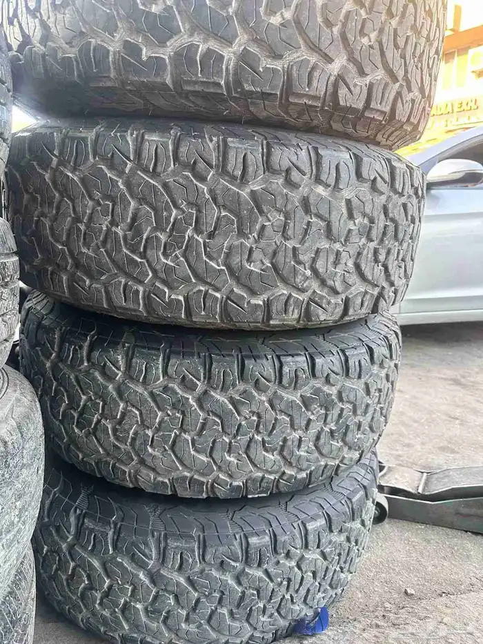 جنوط مثود وكفرات نص حجري افجي 2