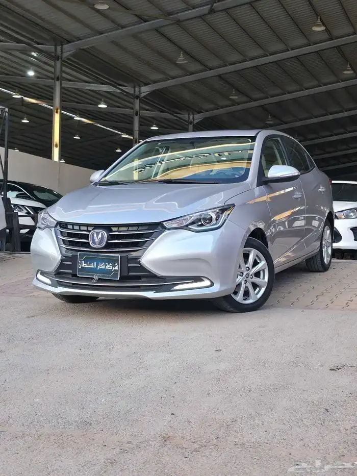 شانجان السفن 2025 7