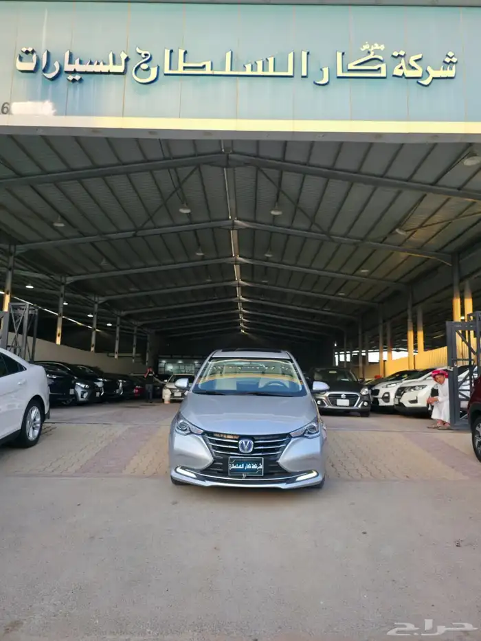 شانجان السفن 2025 6