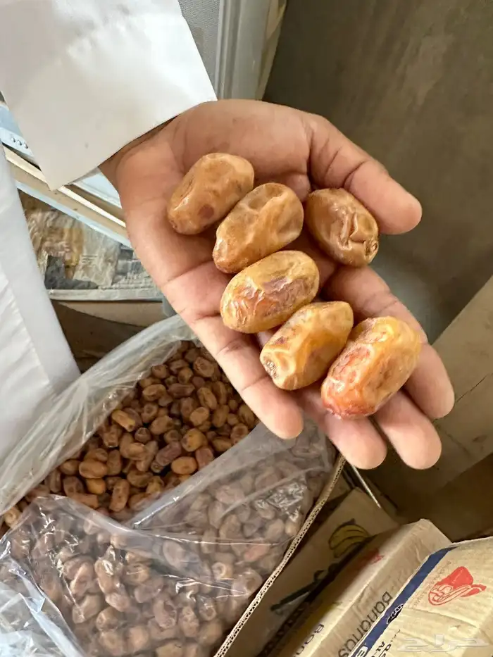 تمر خلاص فاخر 3