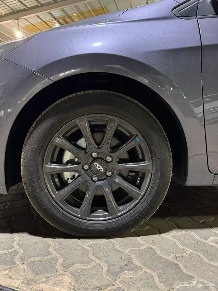 شيري اريزو 5 8