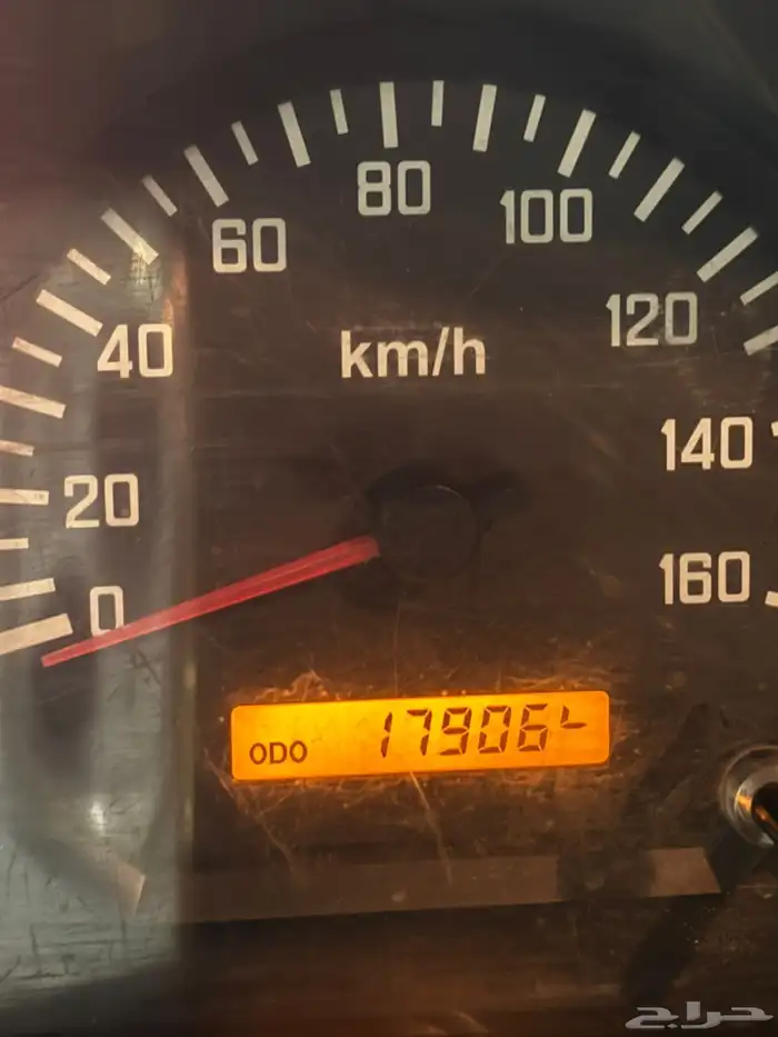 دينا ايسوزو  نظيفة جدا 15