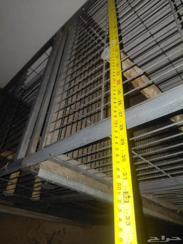 اقفاص انتاج للكاسكو والأمزوني 7