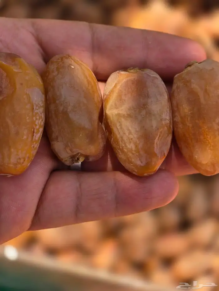 تمر خلاص فاخر 0