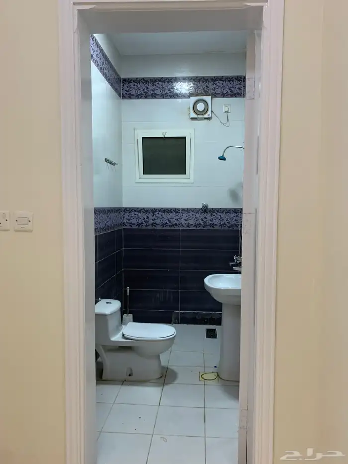 موجود الريان تبوك 3