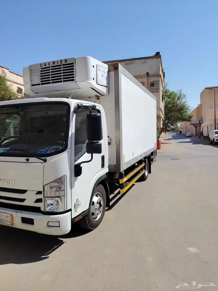 دينا ايسوزو 5