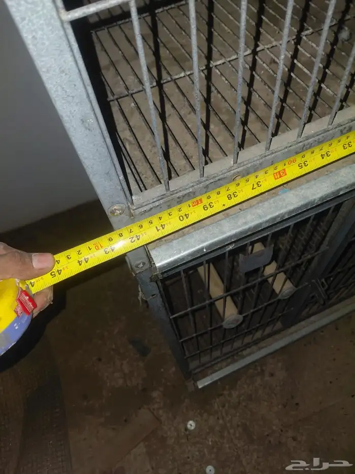 اقفاص انتاج للكاسكو والأمزوني 5