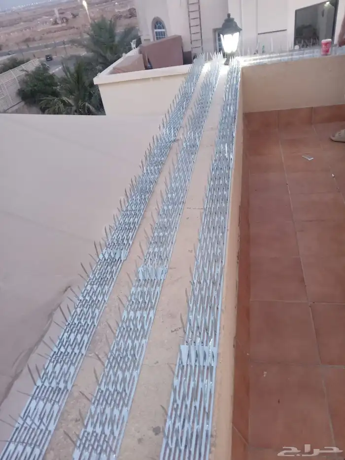 تركيب طارد حمام بجدة 2