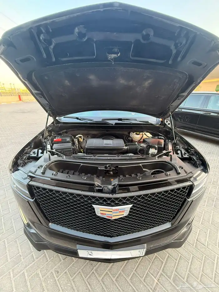 اسكاليد 2021 12