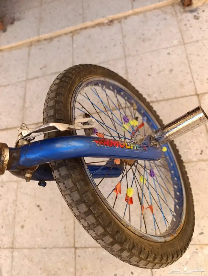 سيكل كوبرا مقاس 20ورخيص مره   وعادني أمس صلحته 7