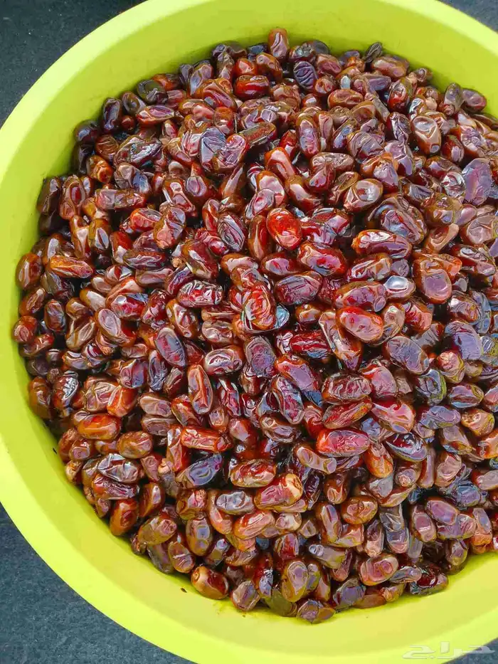 تمور حائل الفاخره 9