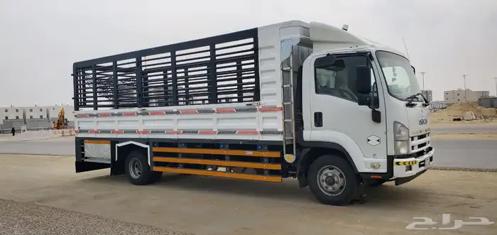 دينه ايسوزو للبيع 1