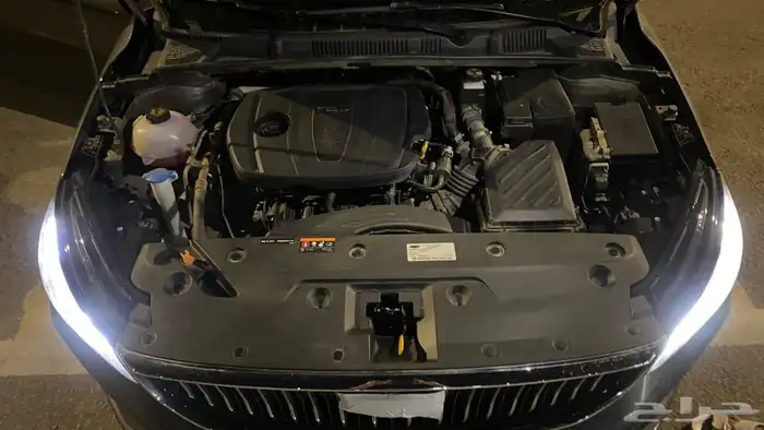 جيلي امقراند 9