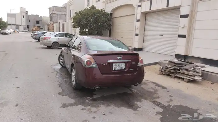 التيما 2010 2