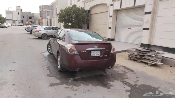 التيما 2010 2