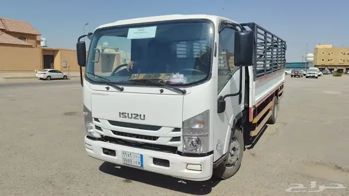 دينا ايسوزو 2024 1