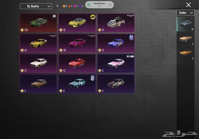 عرض حساب ببجي مميز للبيع 53