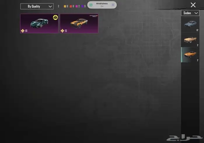 عرض حساب ببجي مميز للبيع 55