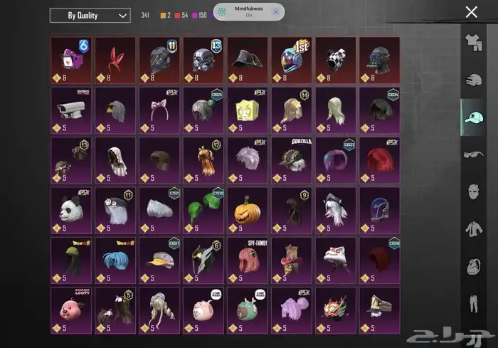 عرض حساب ببجي مميز للبيع 14