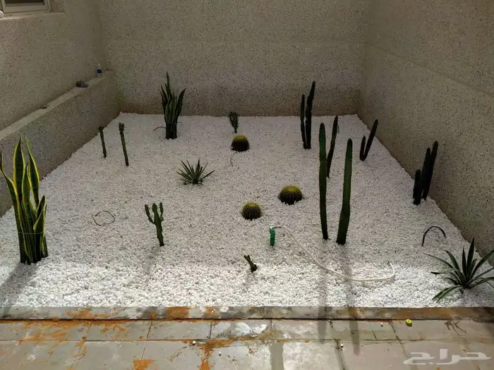 مشتل تنسيق حدائق 4