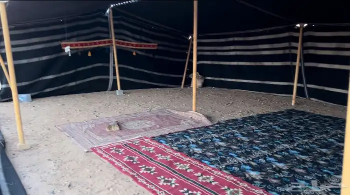 بيت شعر شامي مثولث مع جميع ملحقاته 4