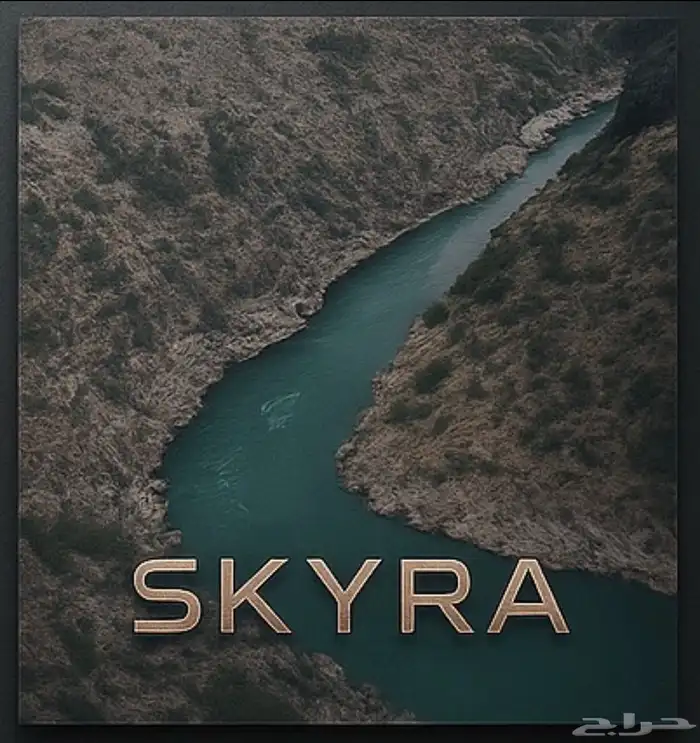 مصور جوي درون 4