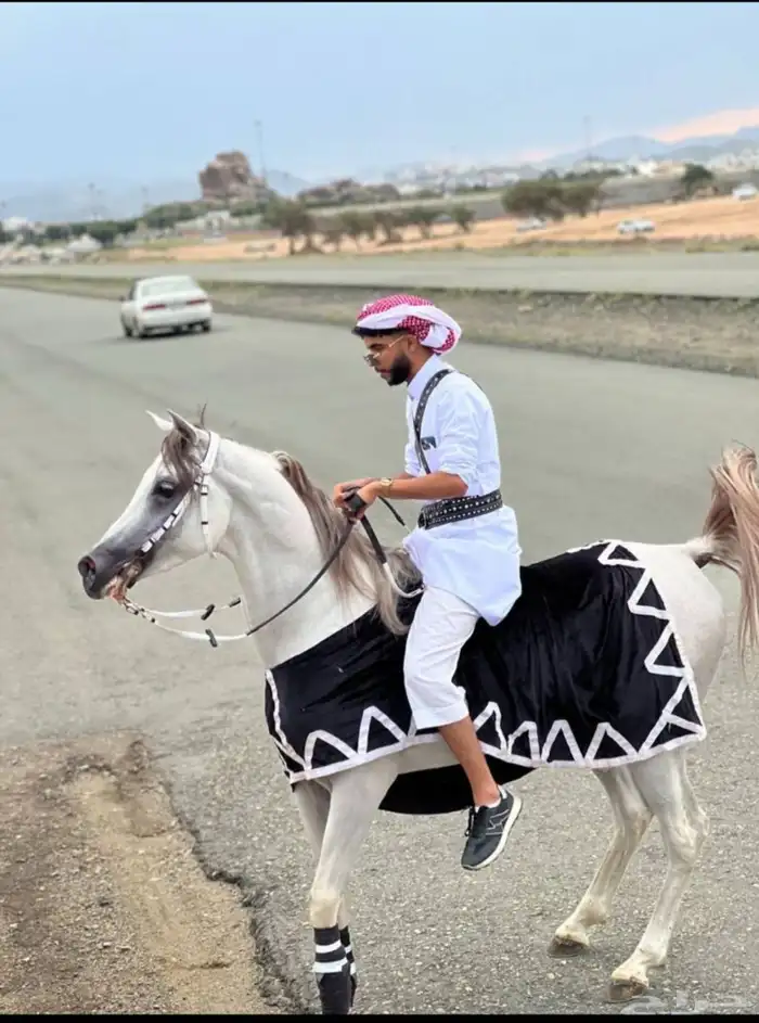 الطايف وادي ليه 0