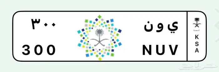 لوحة ى و ن 300 خصوصي البيع 25000 0