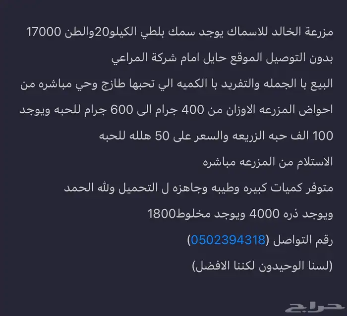 مزرعة الخالد للاسماك 14