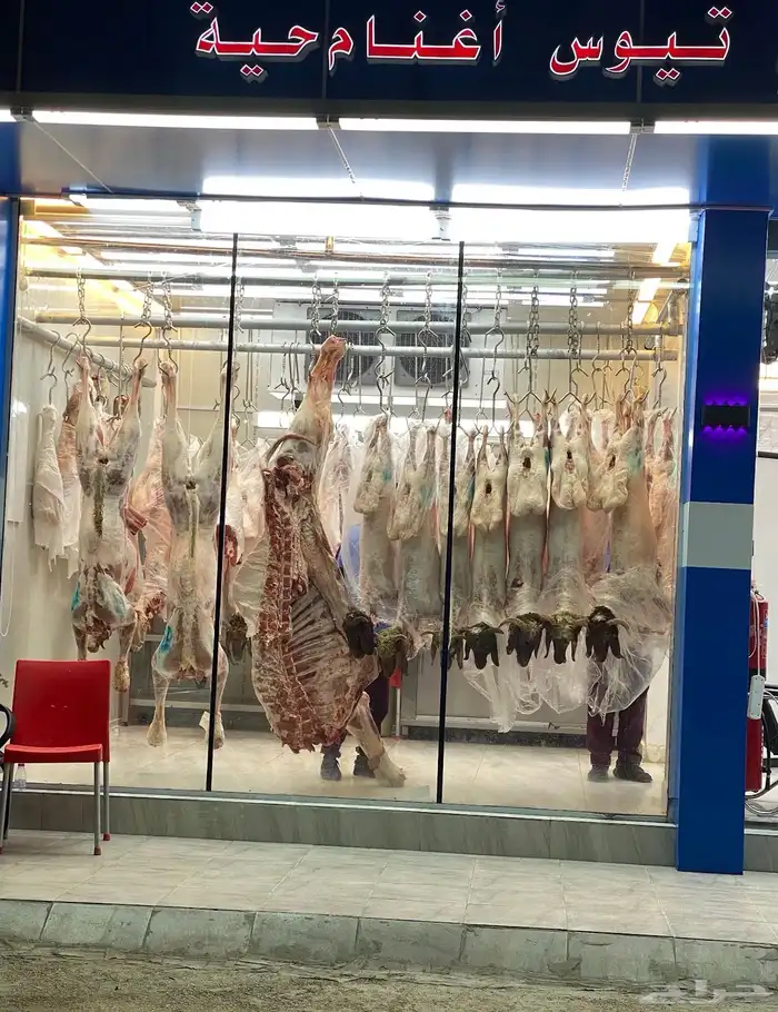 غنم وحواشي بلدي   ملحمة دروب الامانة 2