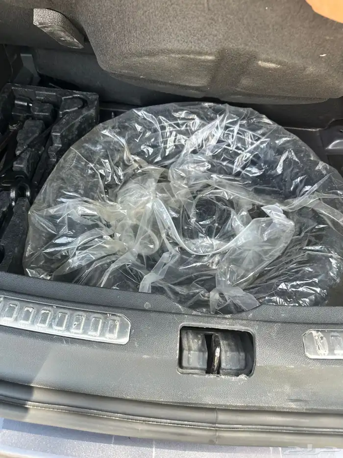 جيتور داشينج 2024 23