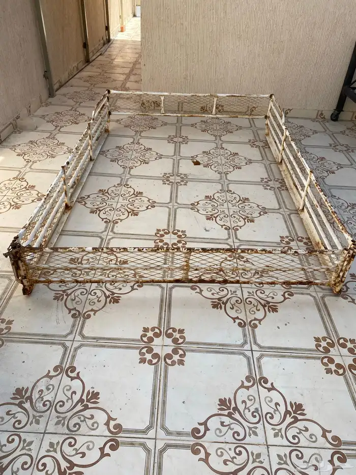 شد ديماكس خمس شناكير 1