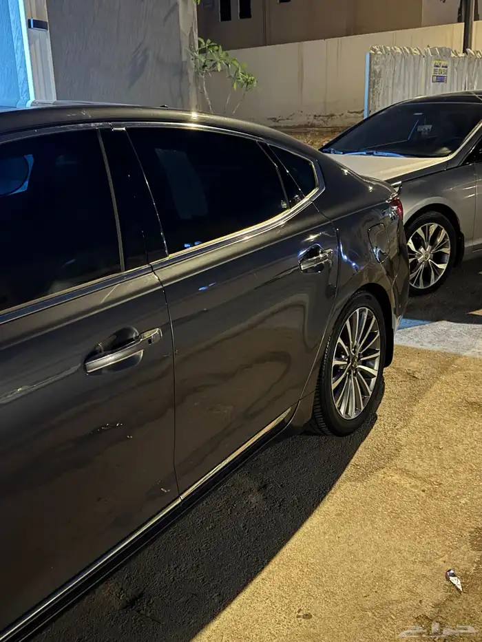 كادينزا 2017 7