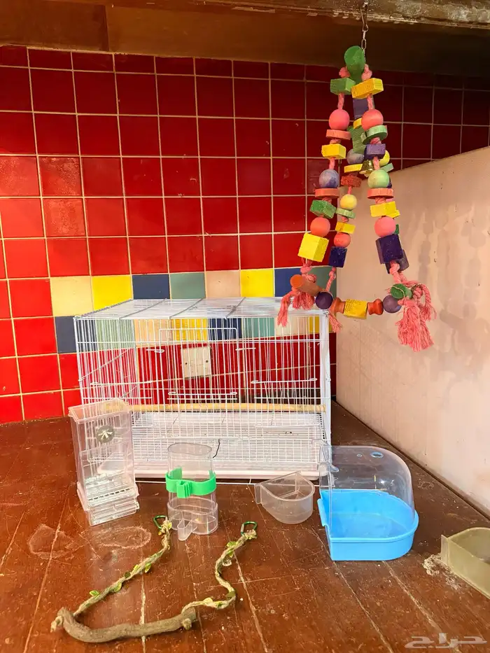 قفص طيور كنيور والعاب ببغاء 0