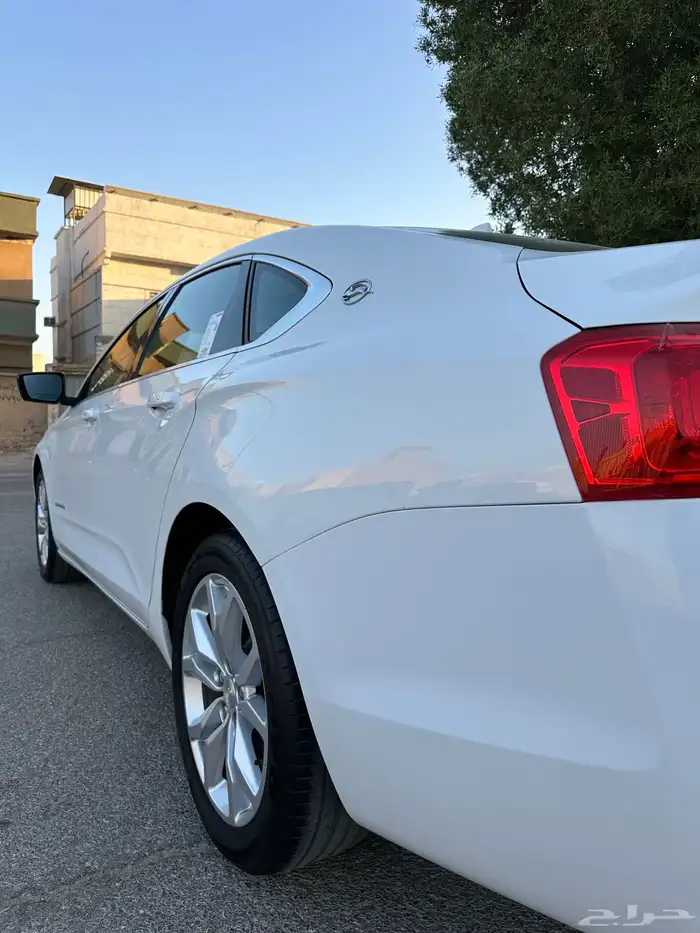 امبالا 2018 بدي وكاله نظيف 9