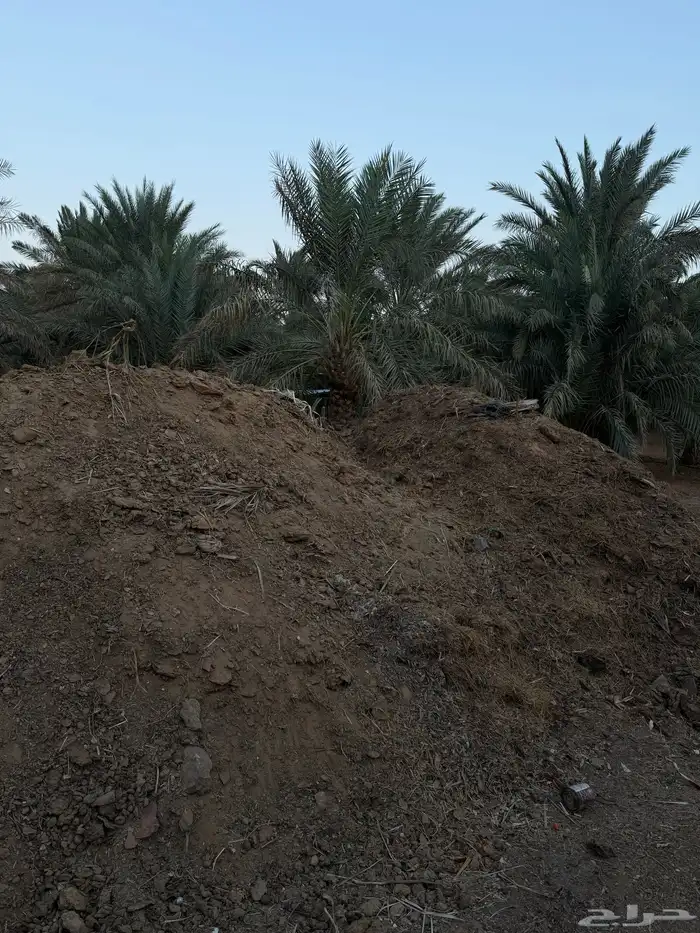 سماد بقري للبيع 0