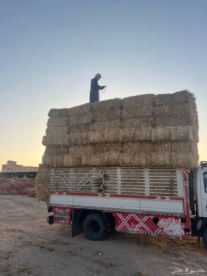 تبن بر صافي ناعم 4