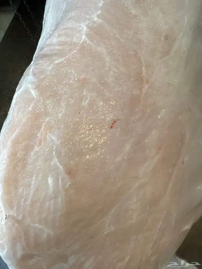 حاشي لباني شرط العمر ستة اشهر والحم تحدي مضمون في الصحن 0