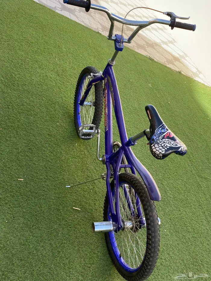 سيكل كوبرا ازرق 25