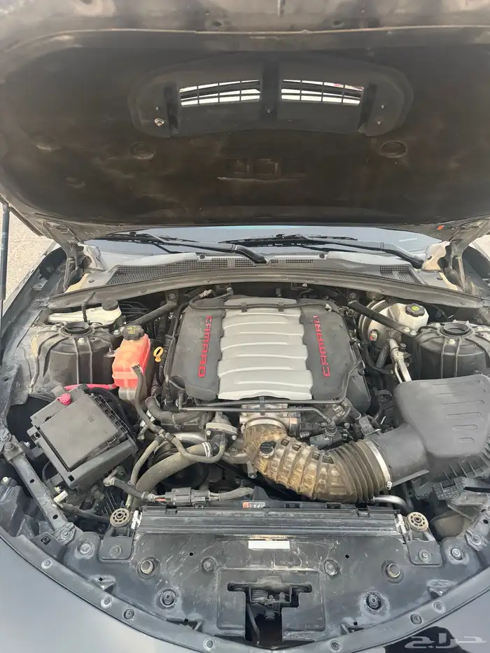 كومارو SS2 2020 21