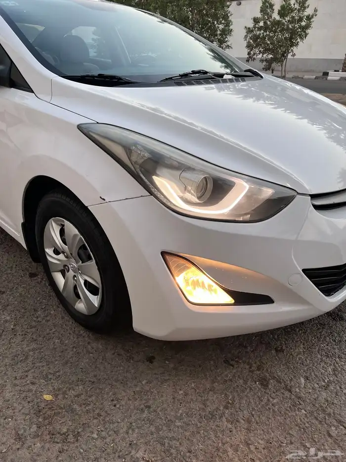 النترا 2016 10