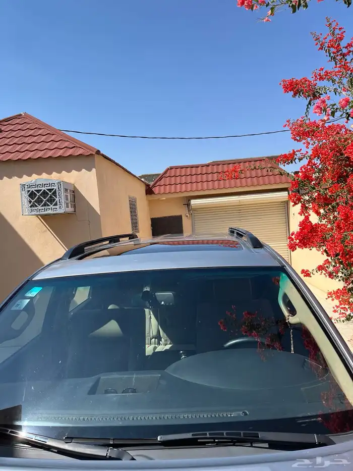 سكويا 2015 وكاله 10