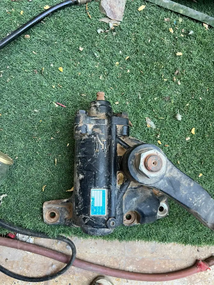 دودة سوزو ديانا دنه 0