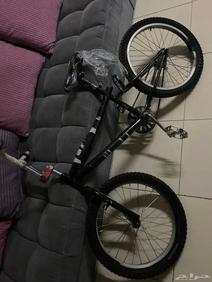 سيكل كويرا 2