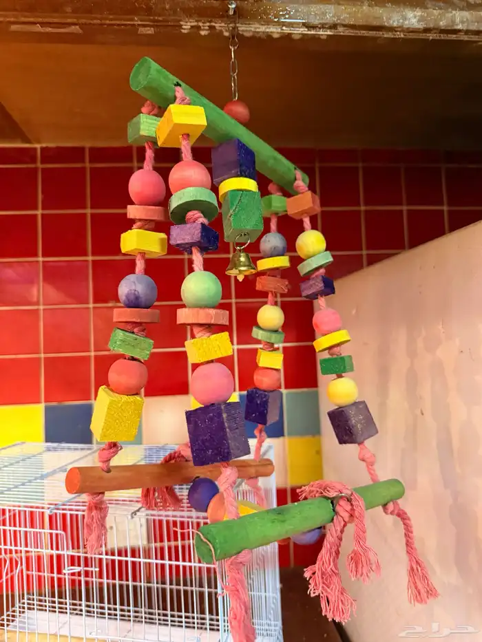 قفص طيور كنيور والعاب ببغاء 1