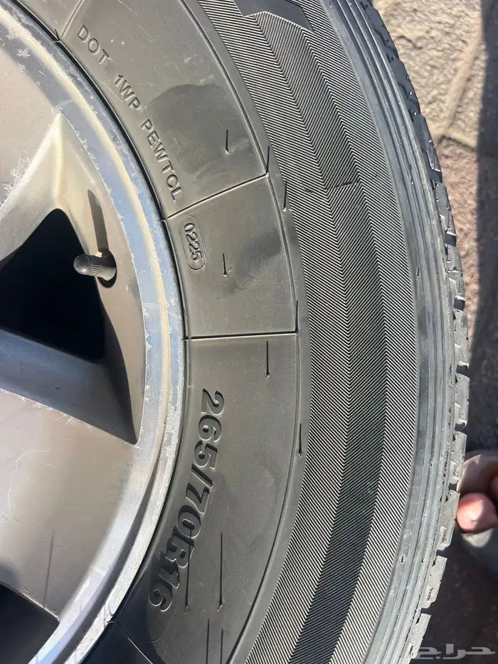 جنوط للبيع اف جي 1