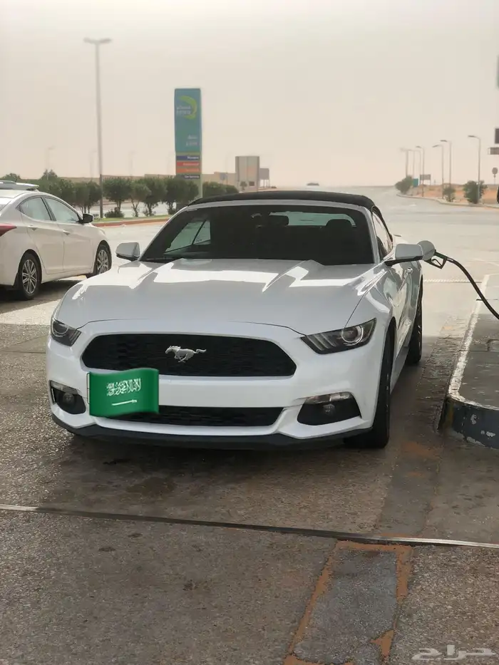 موستنق 2016 كشف 4 سلندر تيربو 0